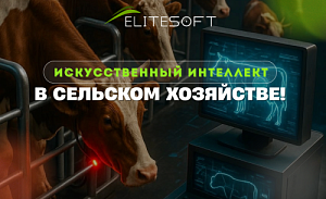 Искусственный интеллект для сельского хозяйства: рассказываем о разработке резидента ПВТ   